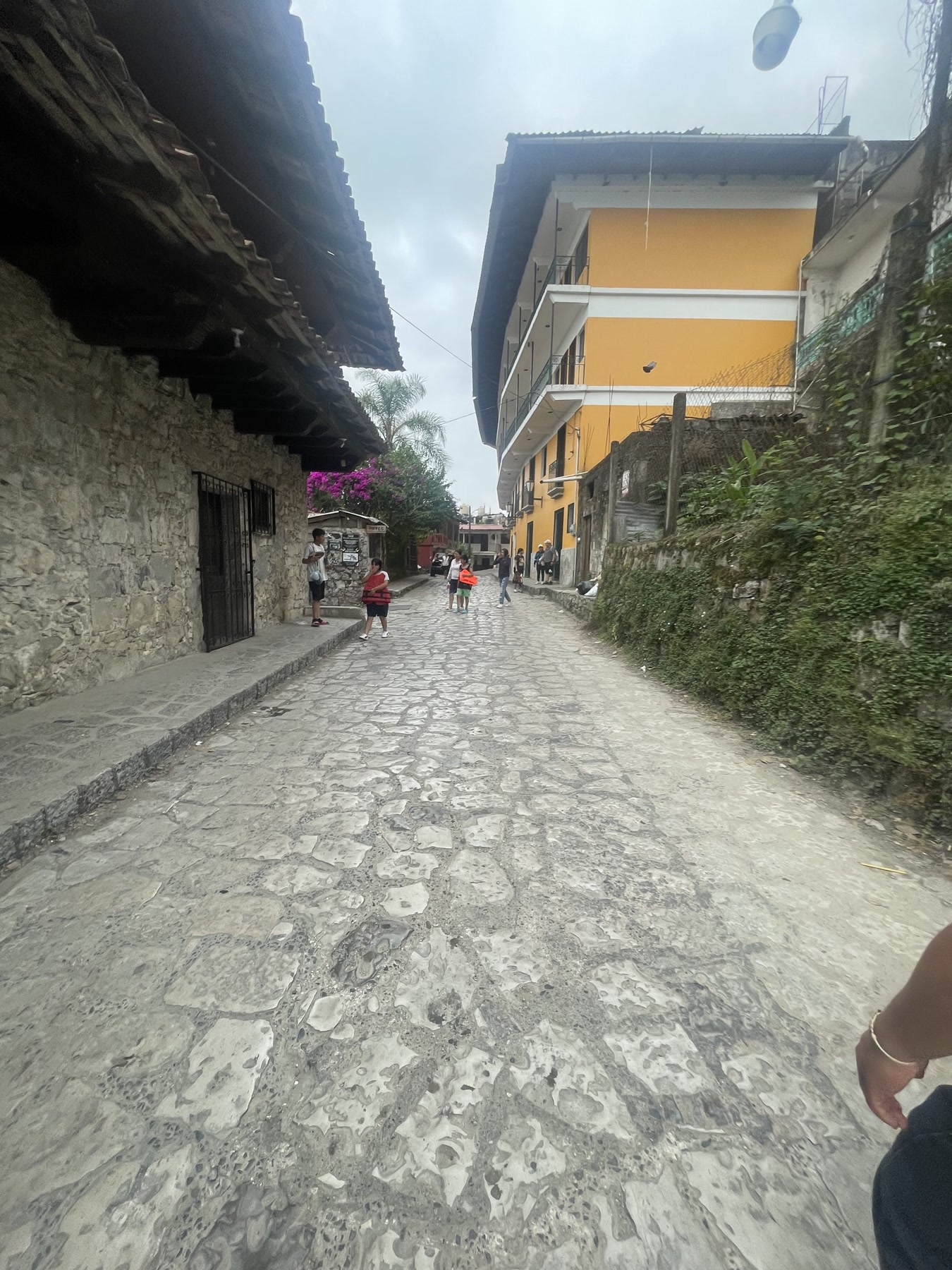 Sierra Norte de Puebla